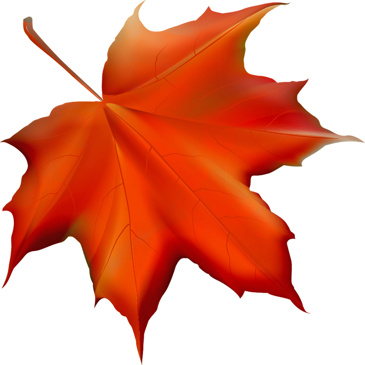 Кленовые листья шаблоны для вырезания цветные