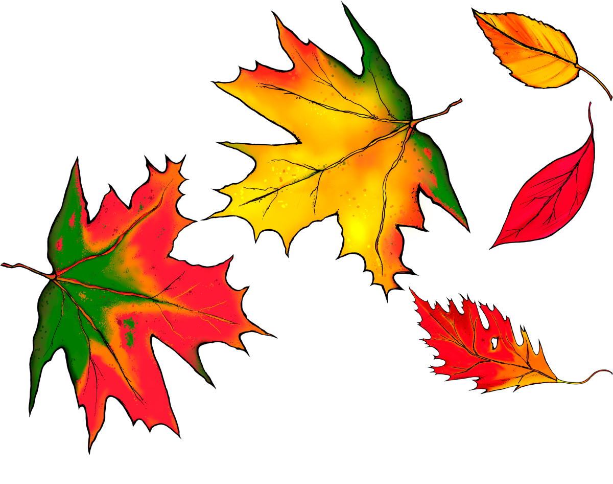 Листья клена зеленые для вырезания