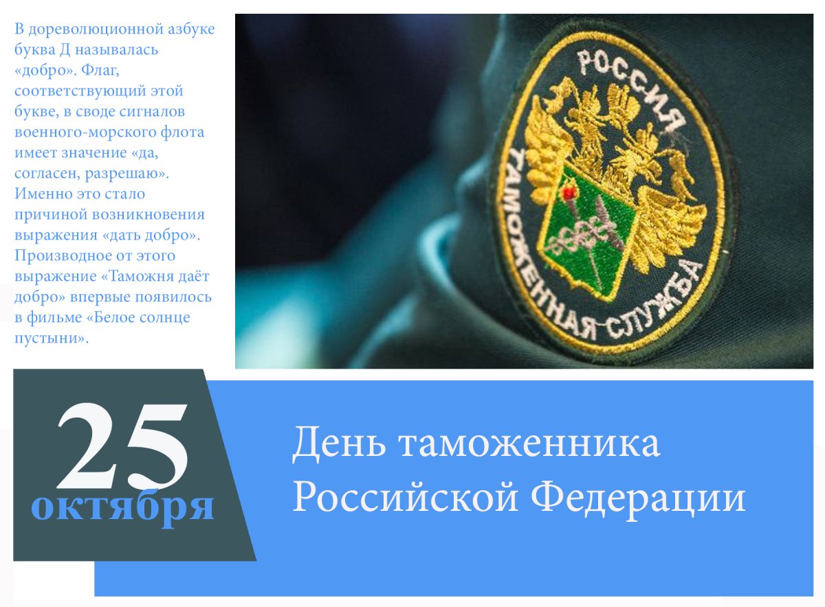 Таможенный контроль карикатура