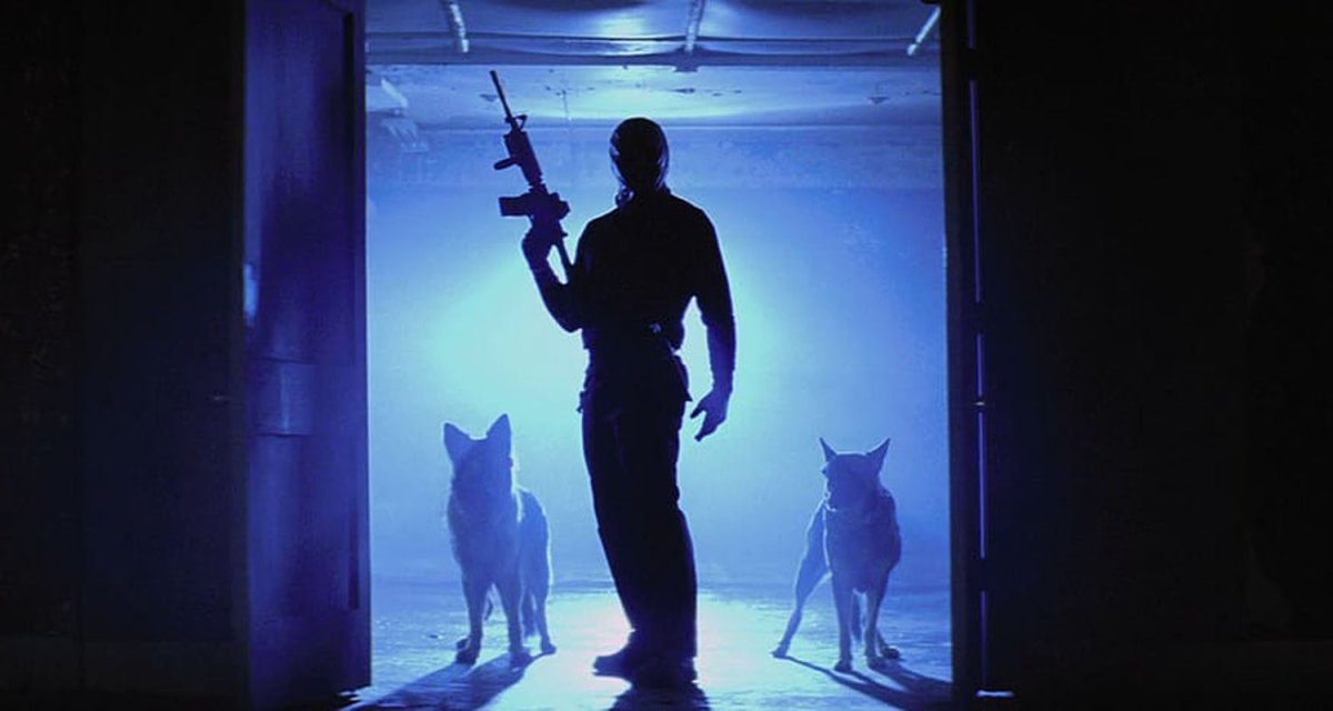 Франс Франкен кабинет редкостей