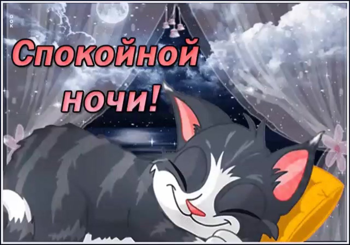 Котенок спит