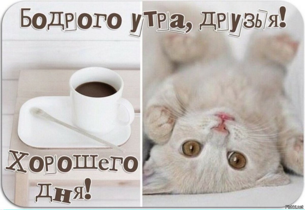 Доброе утро группа