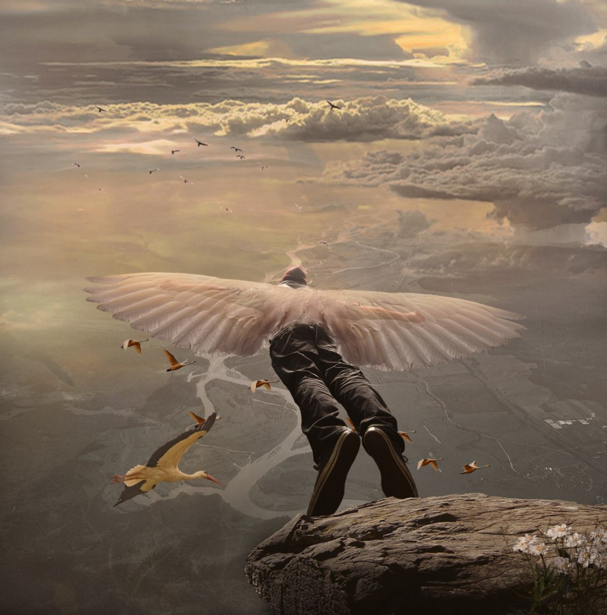 Полет одинокой птицы