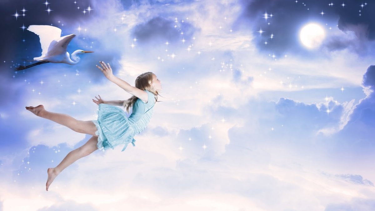 На крыльях мечты которые