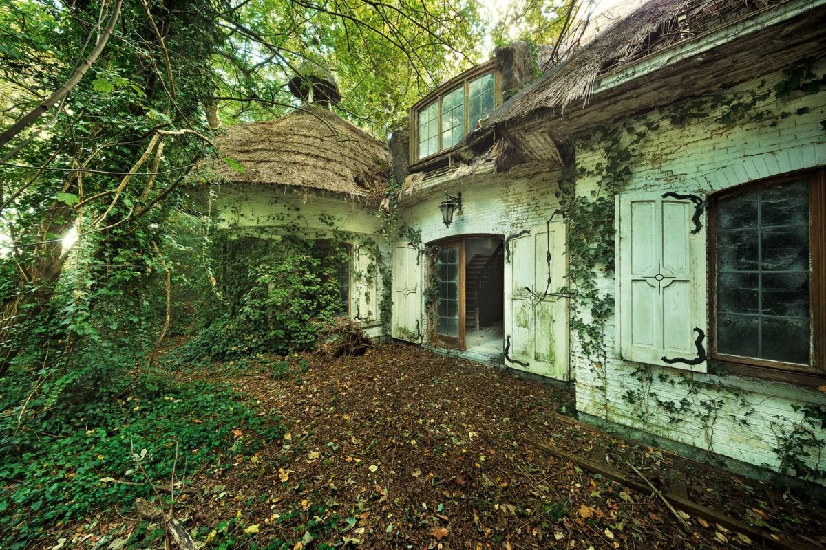 Зелёный город заброшки