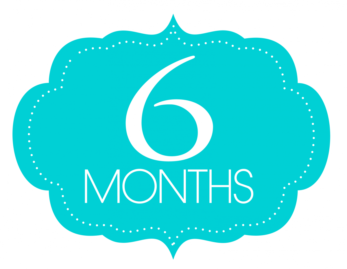 6 Месяцев открытка