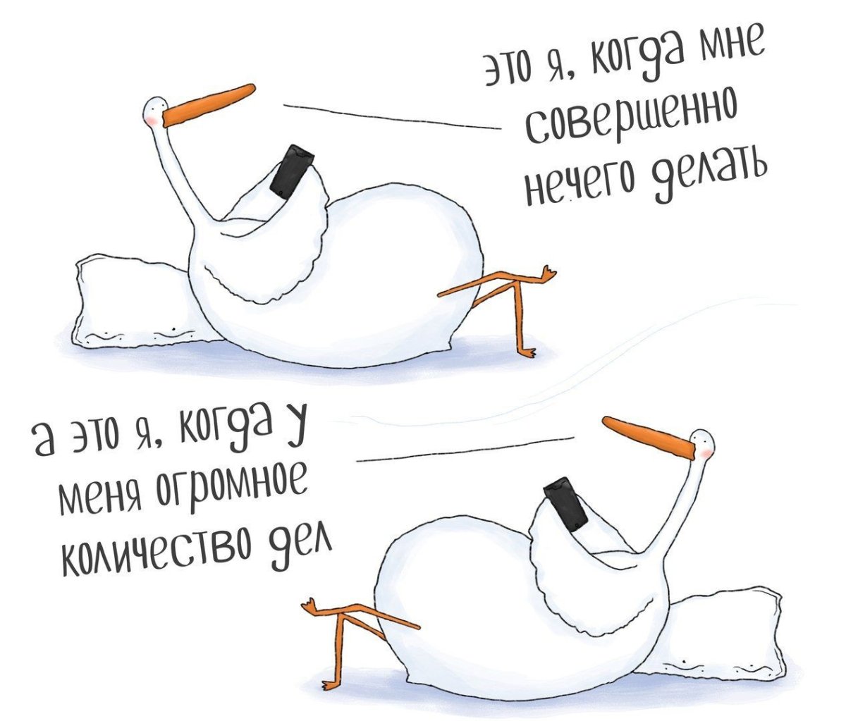 Гусь прикол