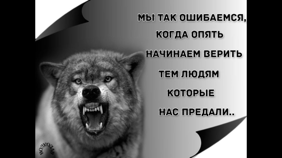 Жестокие люди цитаты