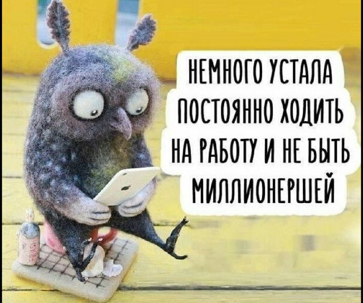 Доброе утро прикол