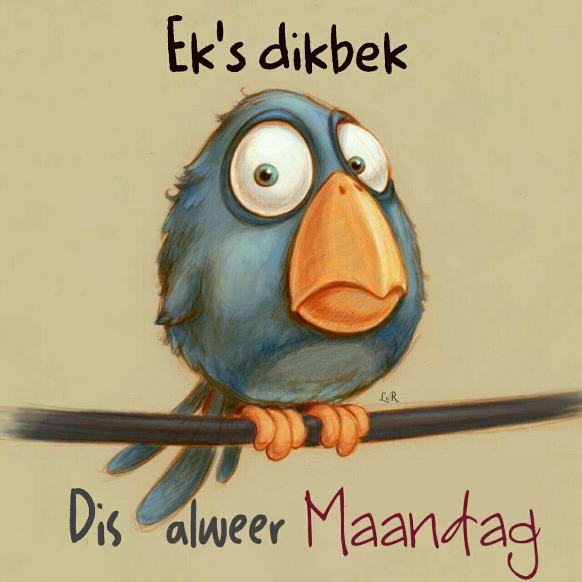 Страус прикол