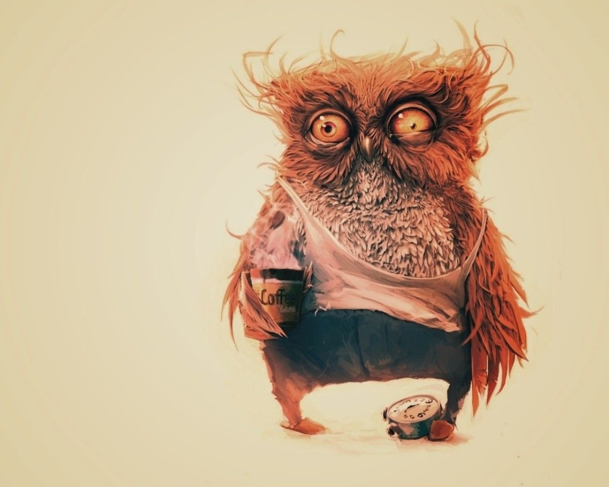 Я придумала птички