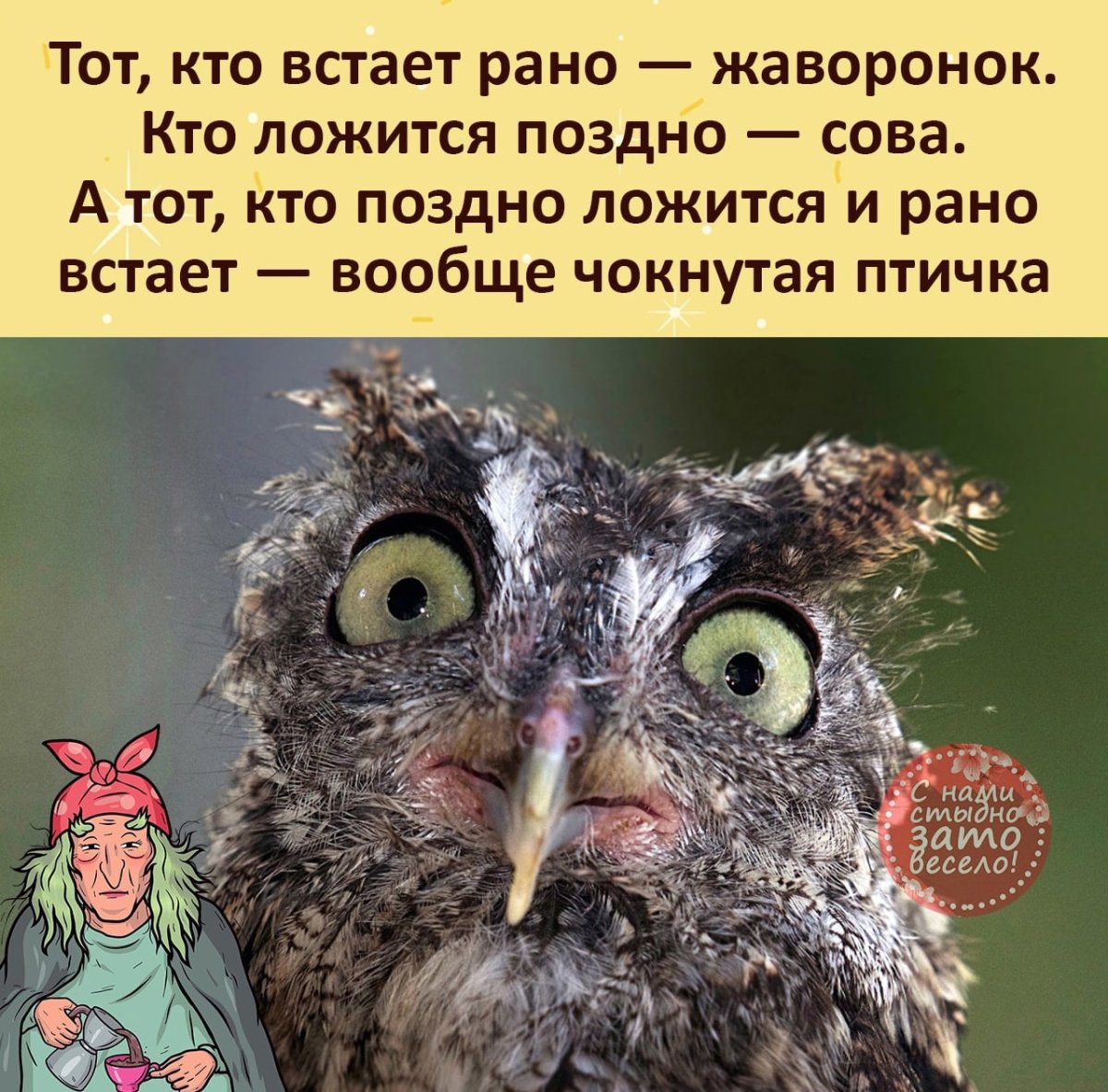 Сумасшедшая птичка