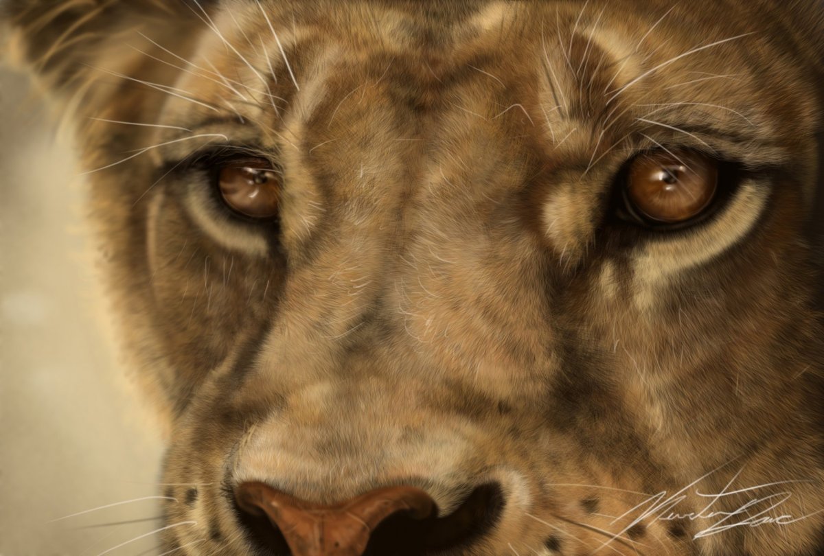 Львица оскал