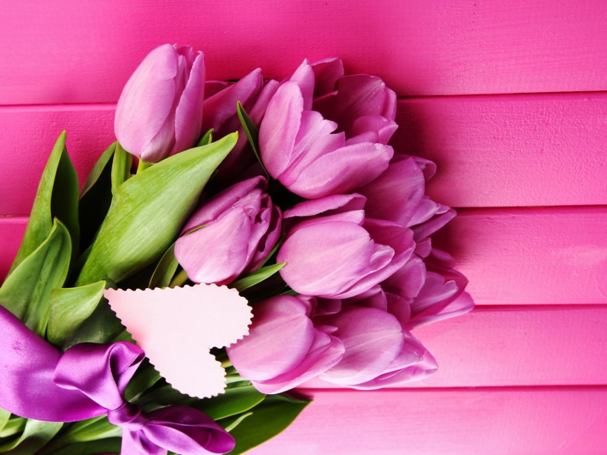 Тюльпаны фон