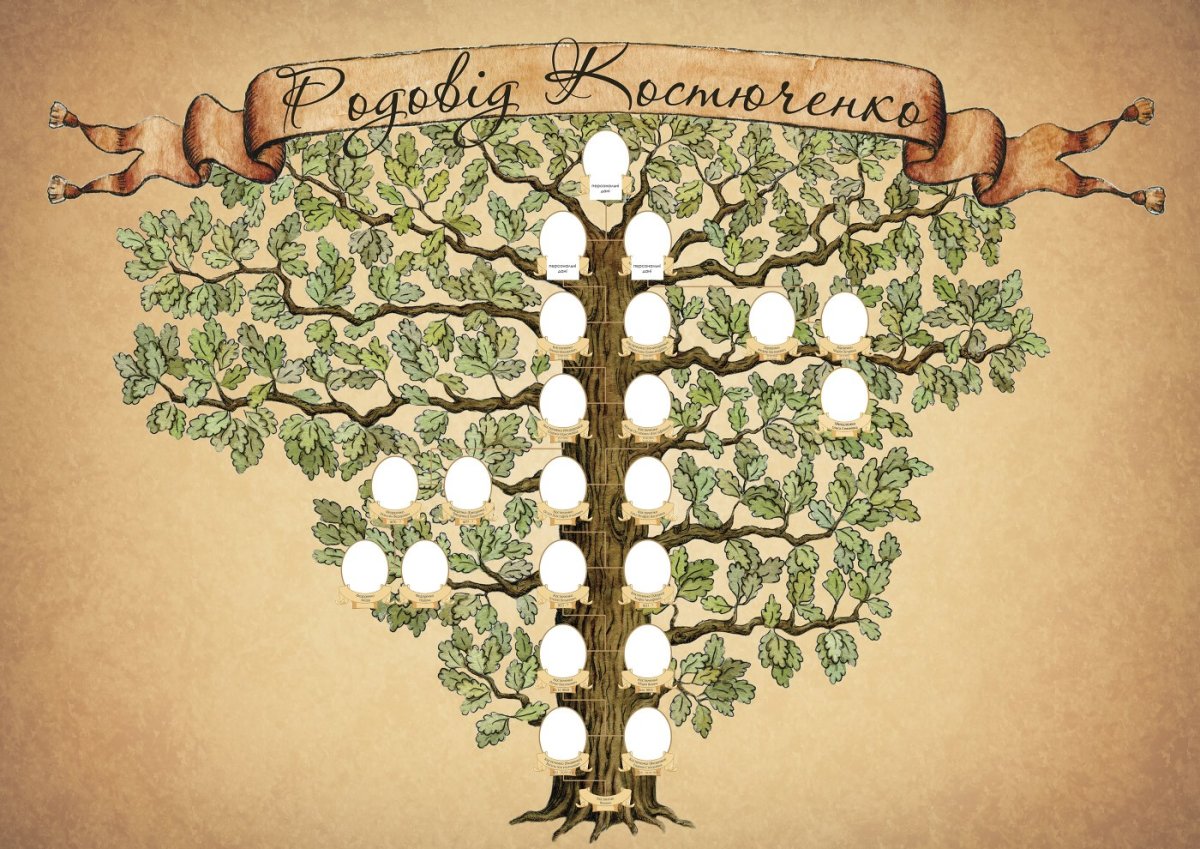 Родословное дерево Шежере