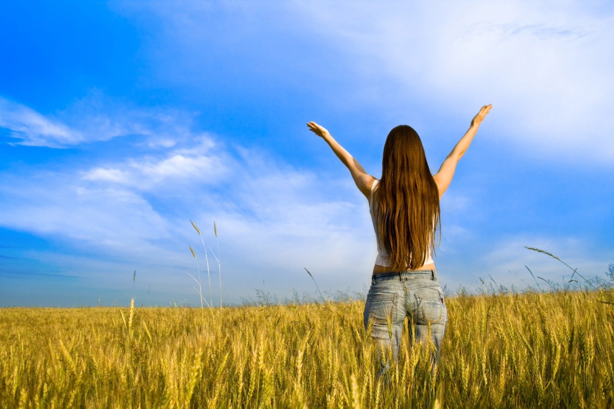 Цитаты Волков