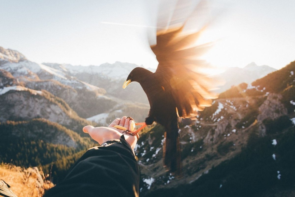 Мотивирующие цитаты