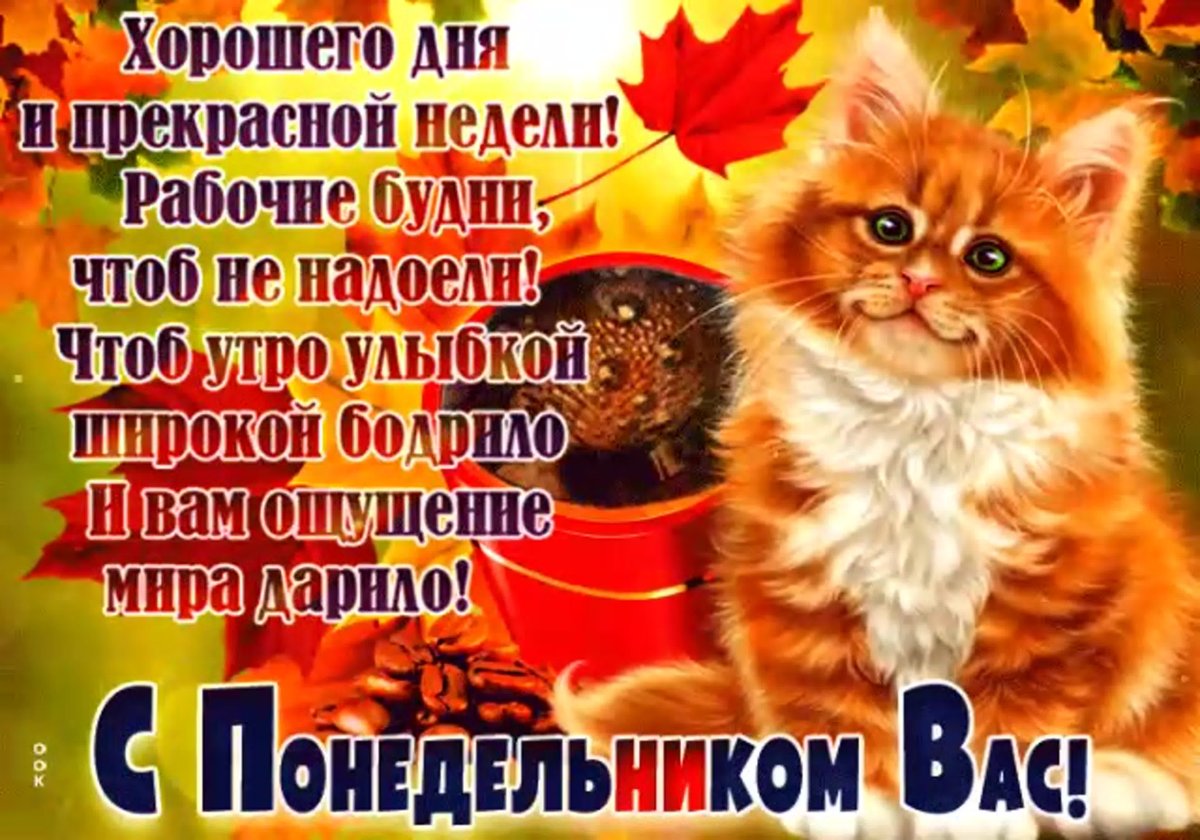 Доброе утро легкого дня