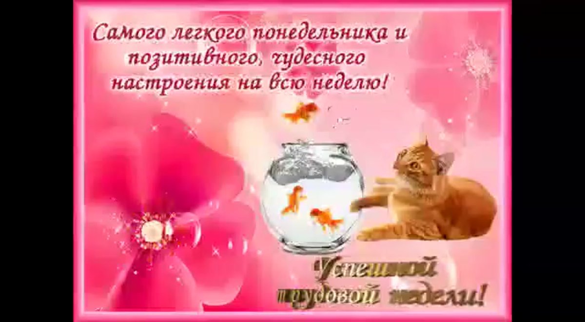 Доброгозтмнего вечерп