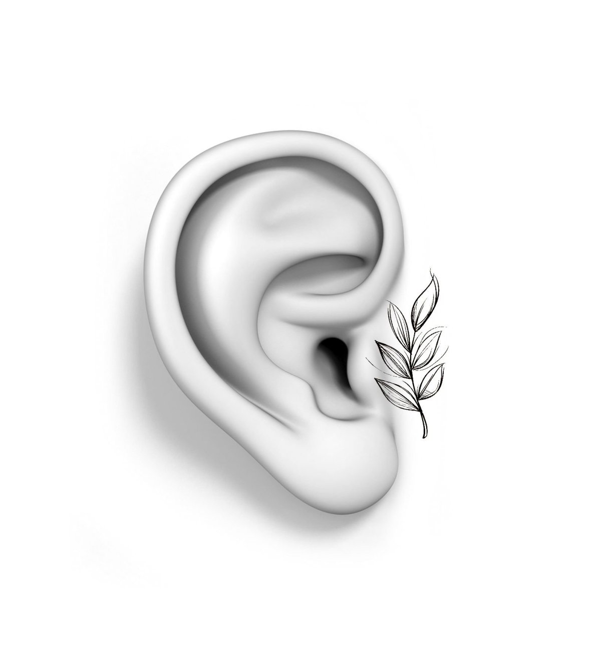 Ухо картинка для детей