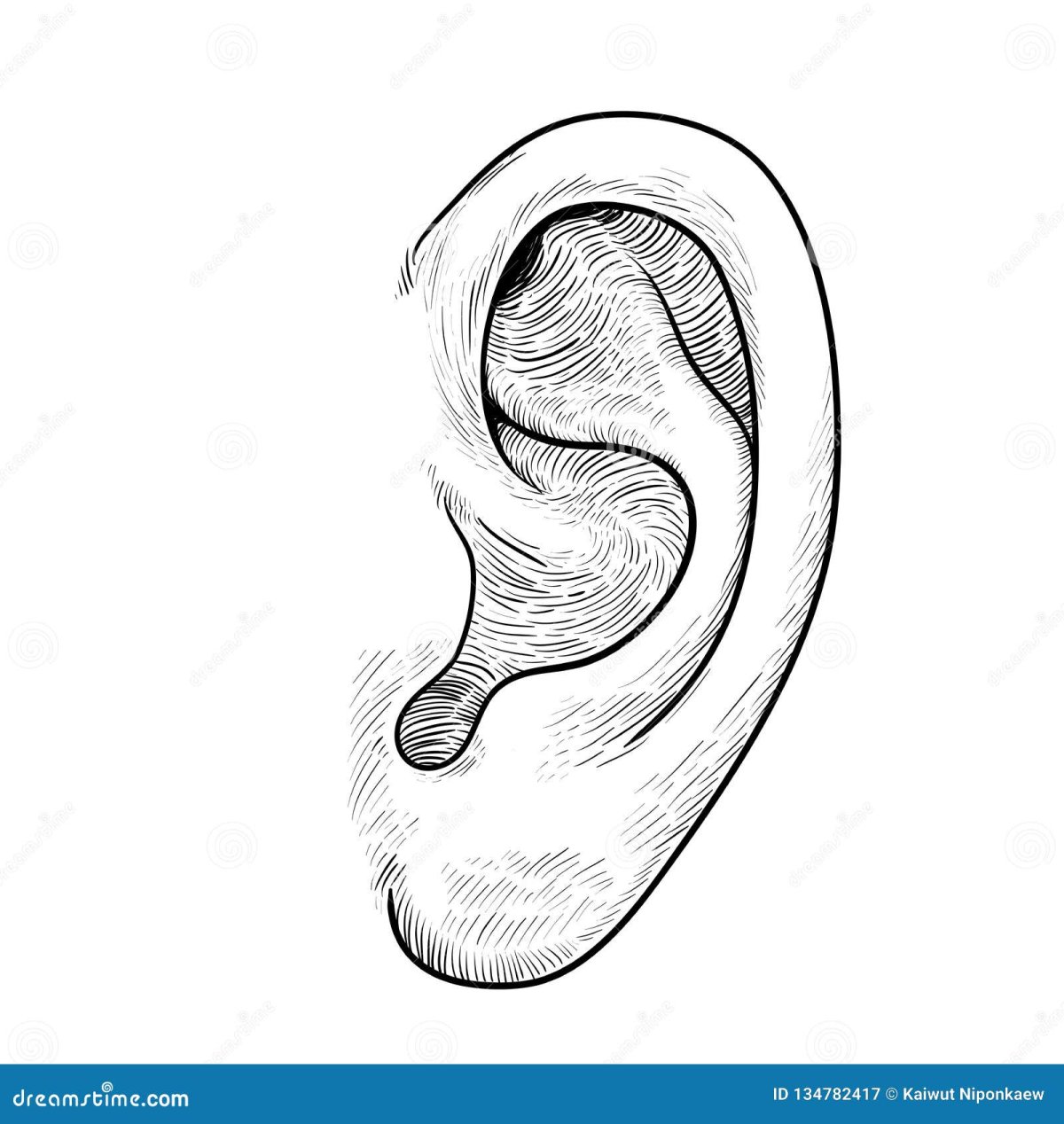 Скетч серьги