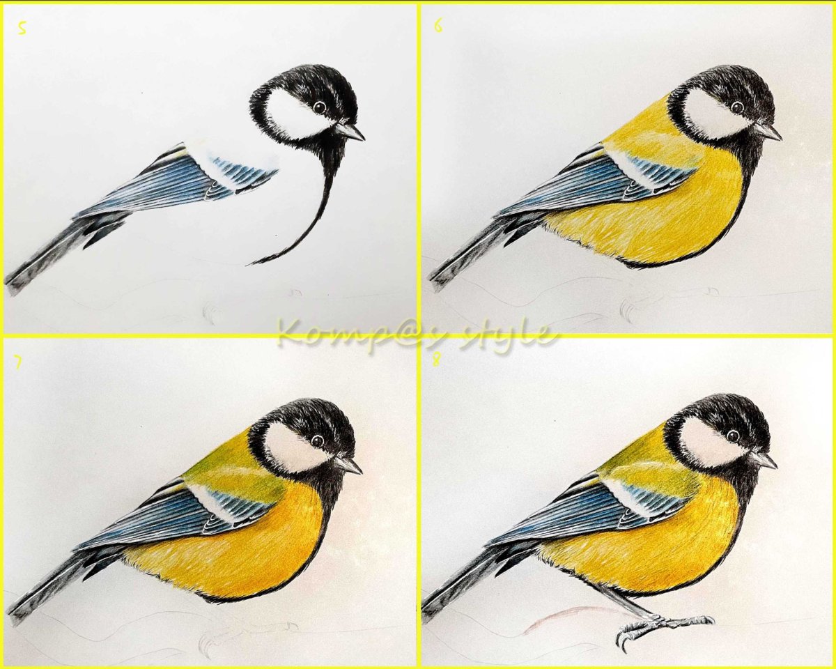 Рисование синицы