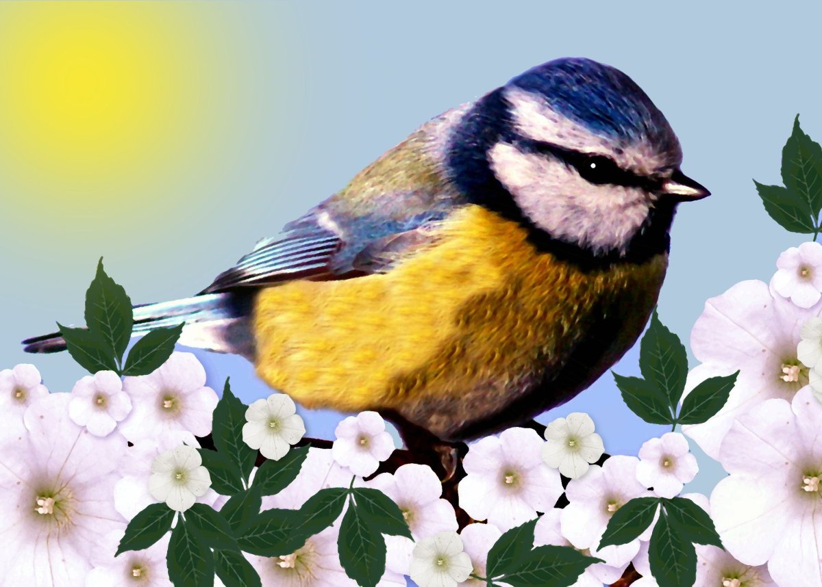 Синица для детей