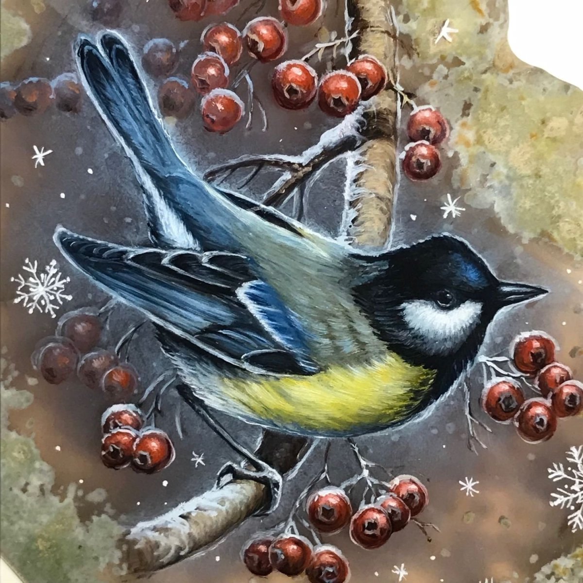 Синица лазоревка картины