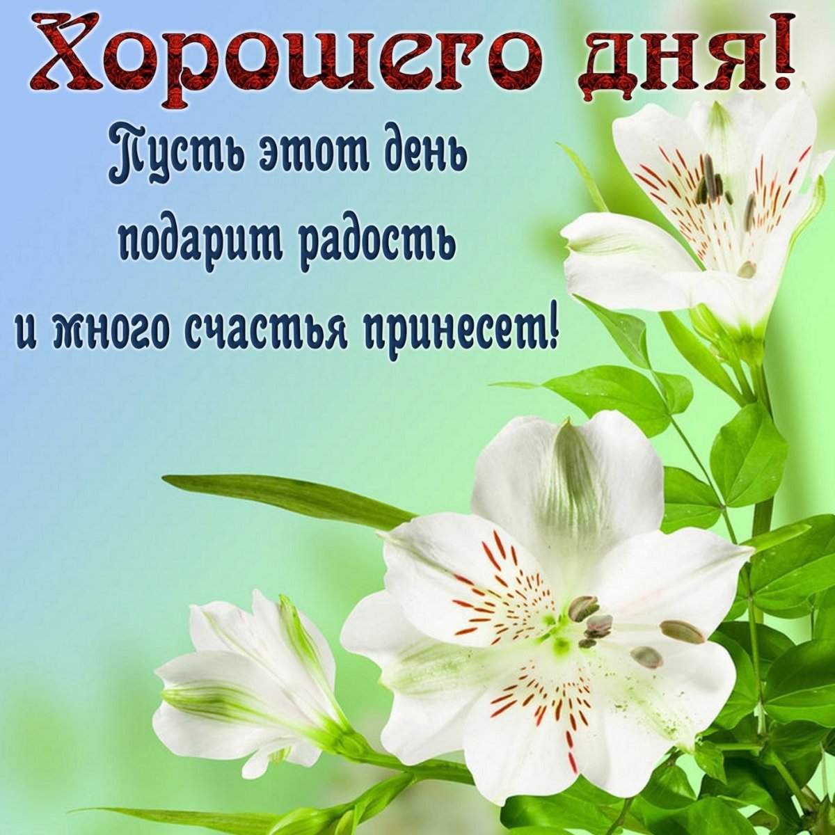 Открытки с пожеланиями хорошего удачного дня