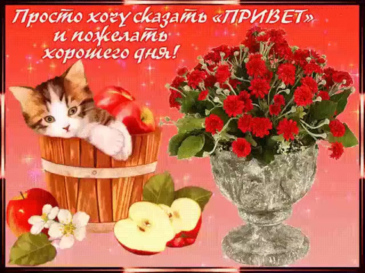 Поздравление на каждый день красивые бесплатно