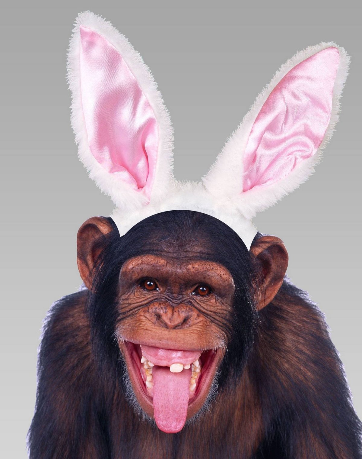 Обезьянка улыбается