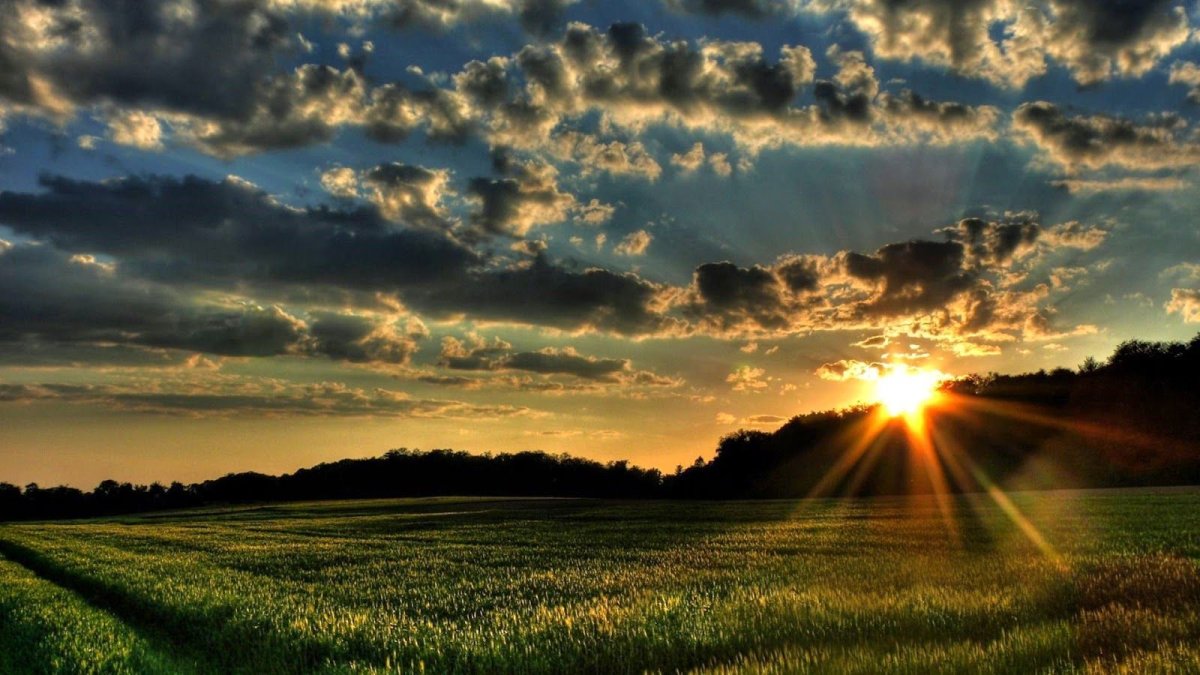 Красивый рассвет