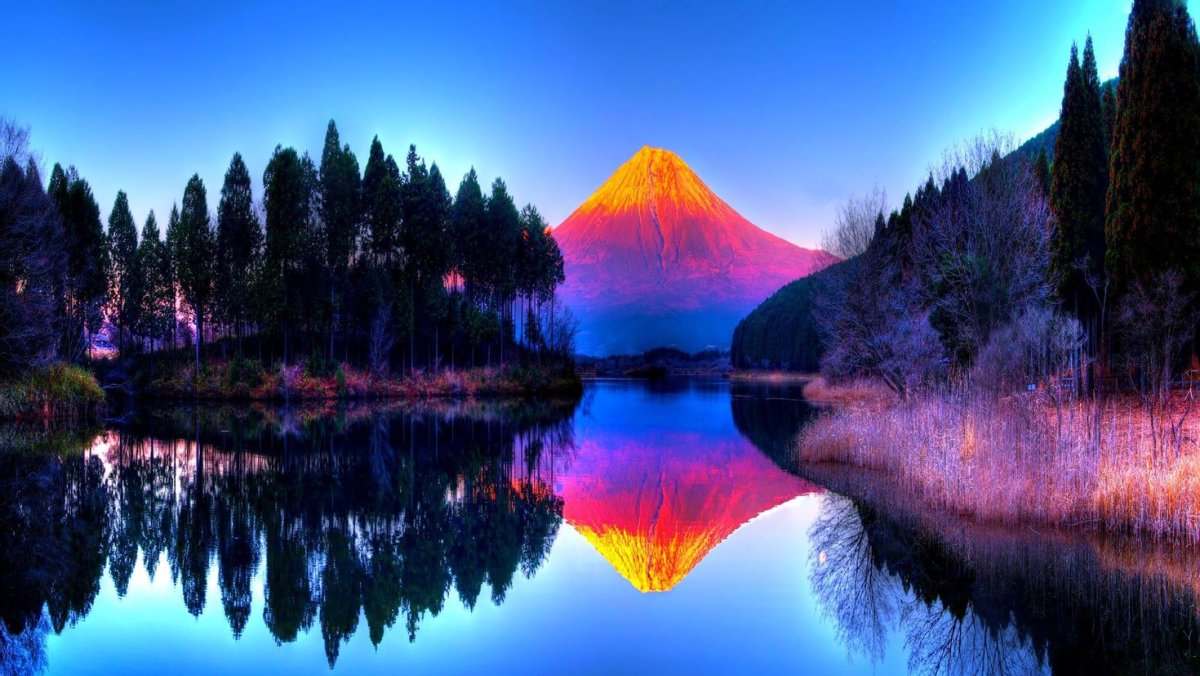 Разноцветная природа