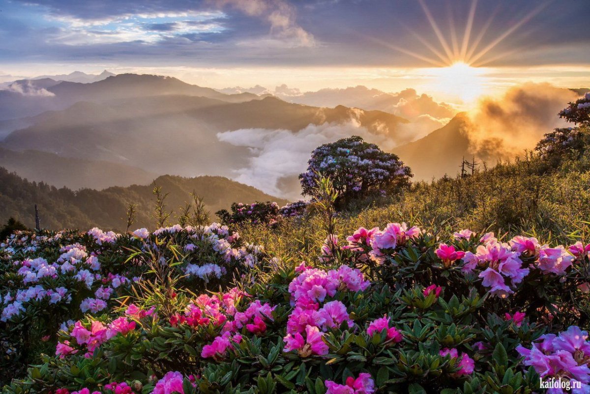 Красота природы