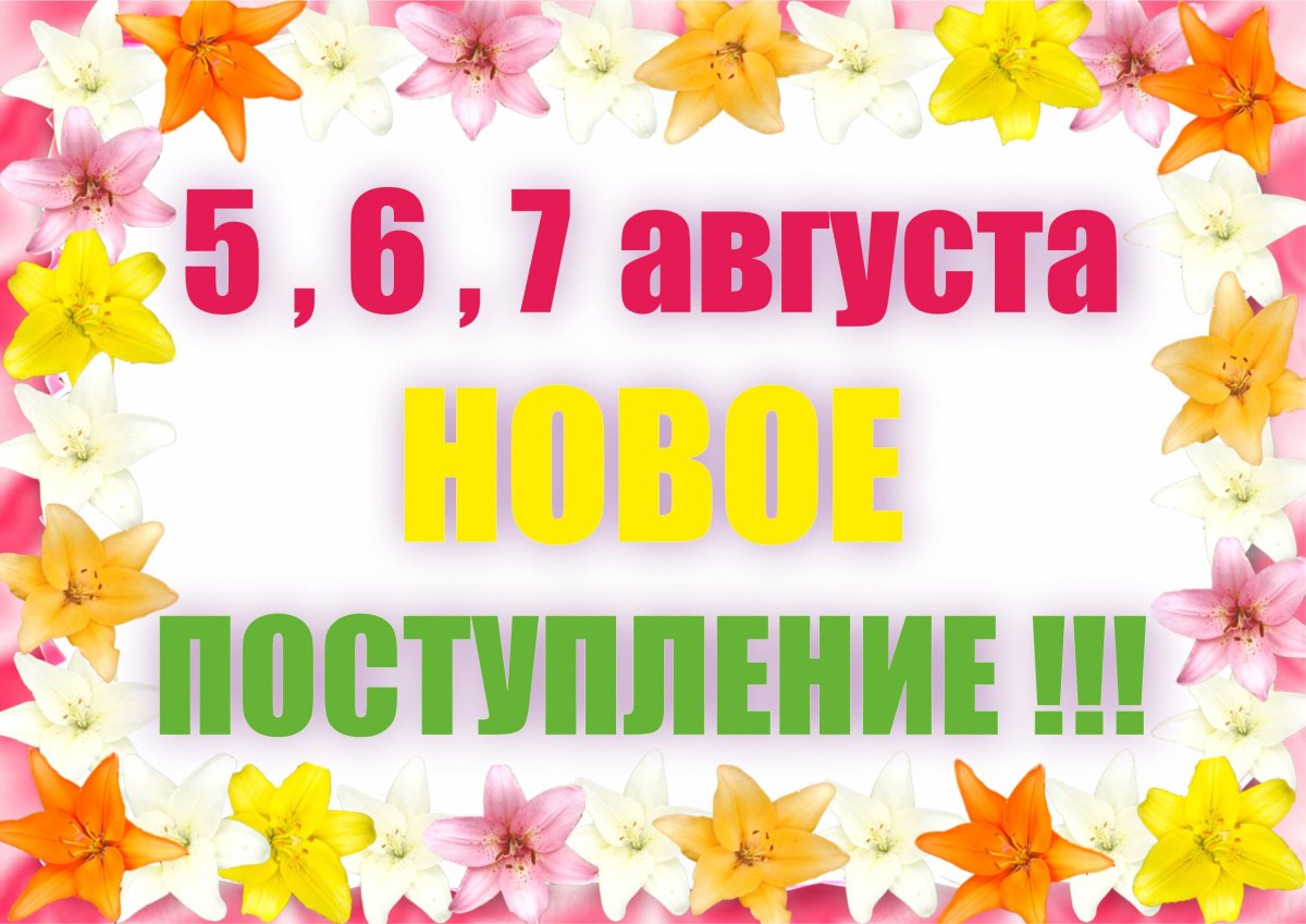 Скоро в продаже