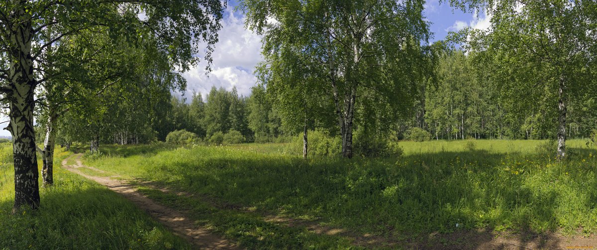 Проселочная дорога