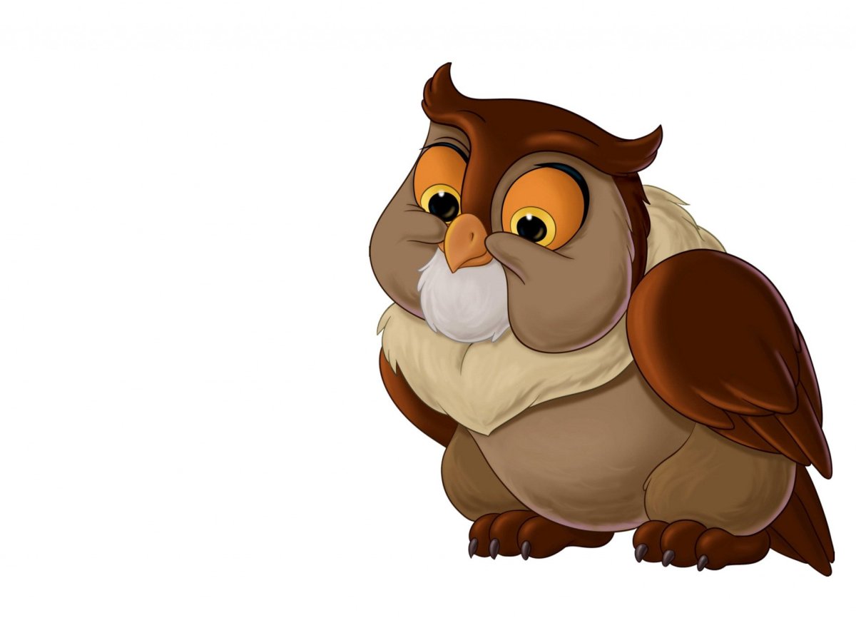 Сова на белом фоне