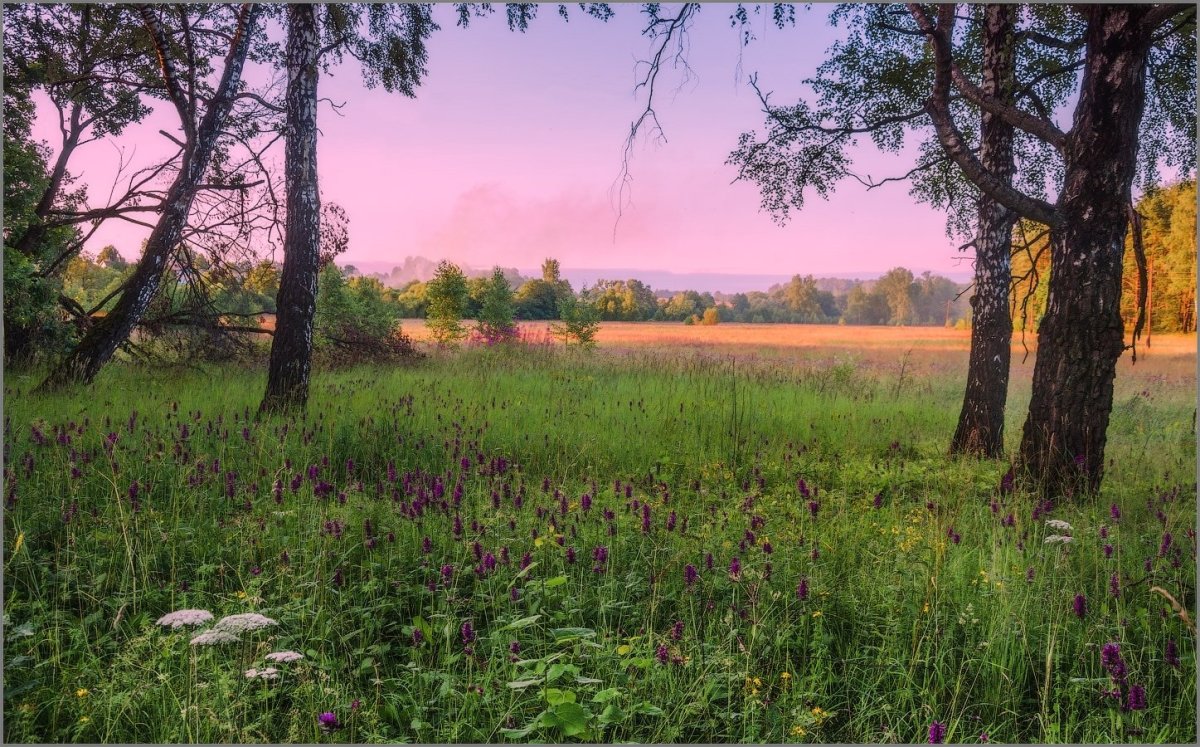 На Лесной опушке