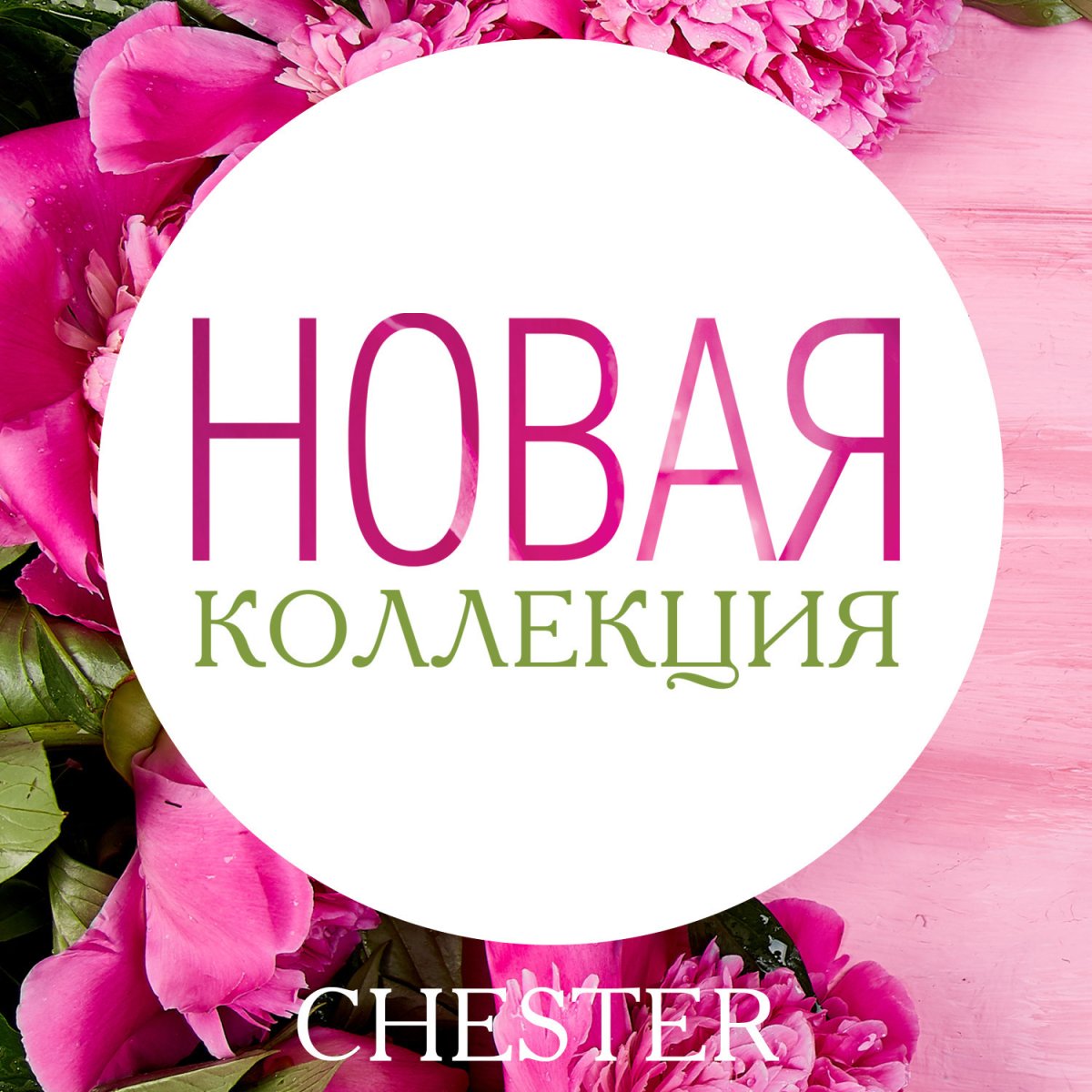 Новое поступление цветов