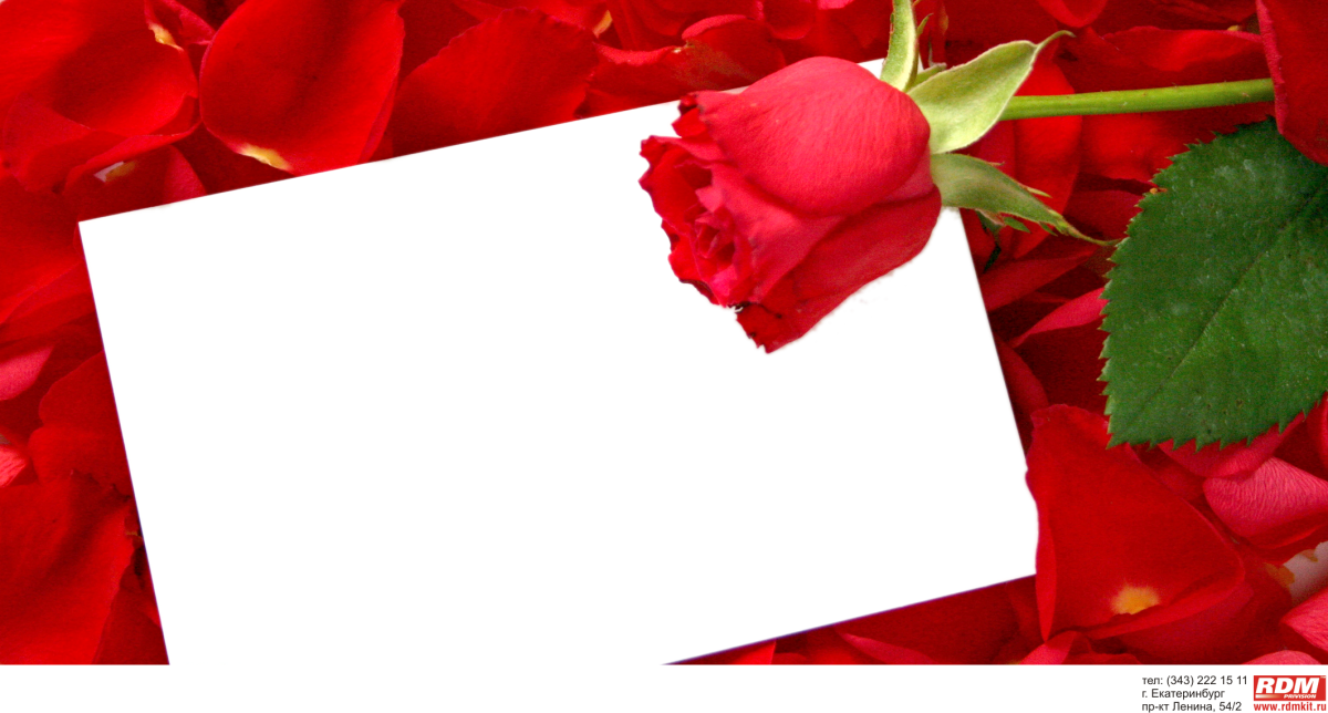 Открытки спасибочки