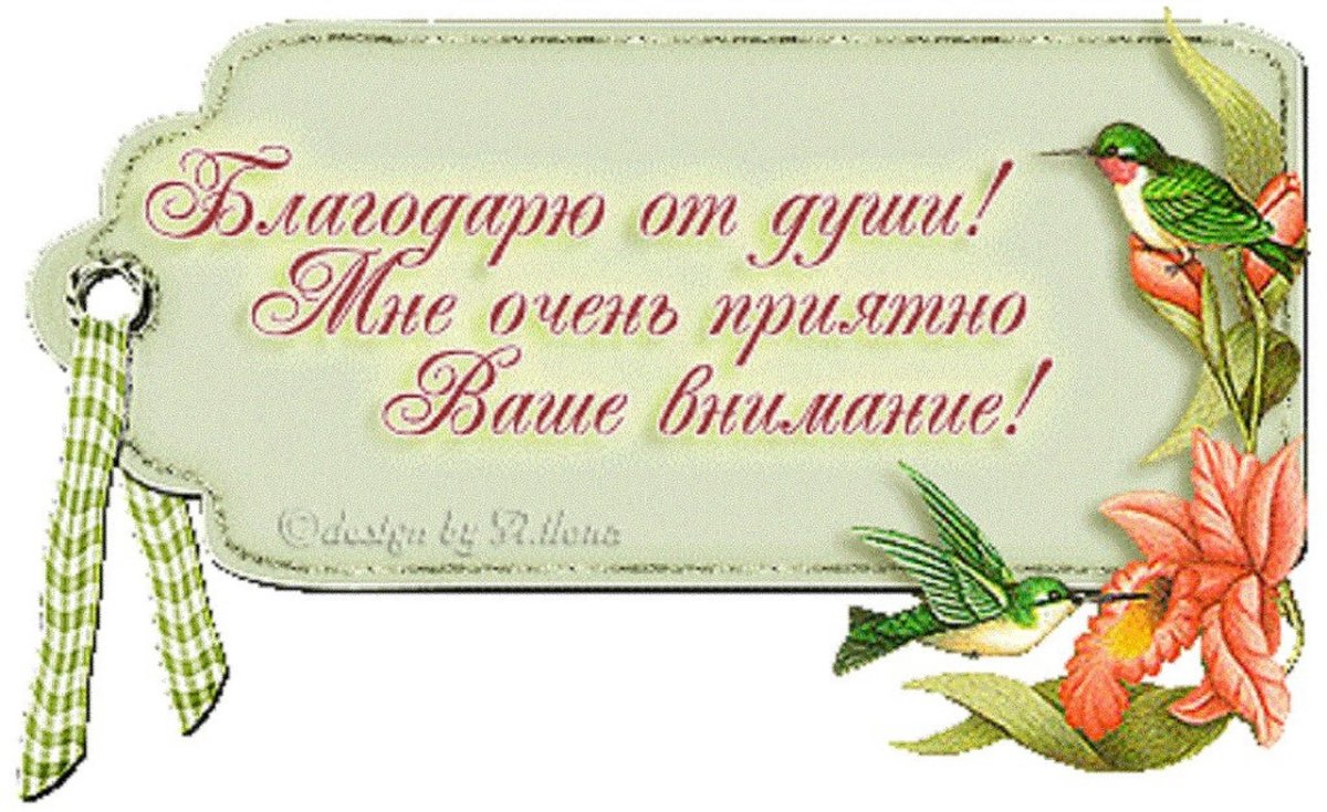 Спасибо за поздравления