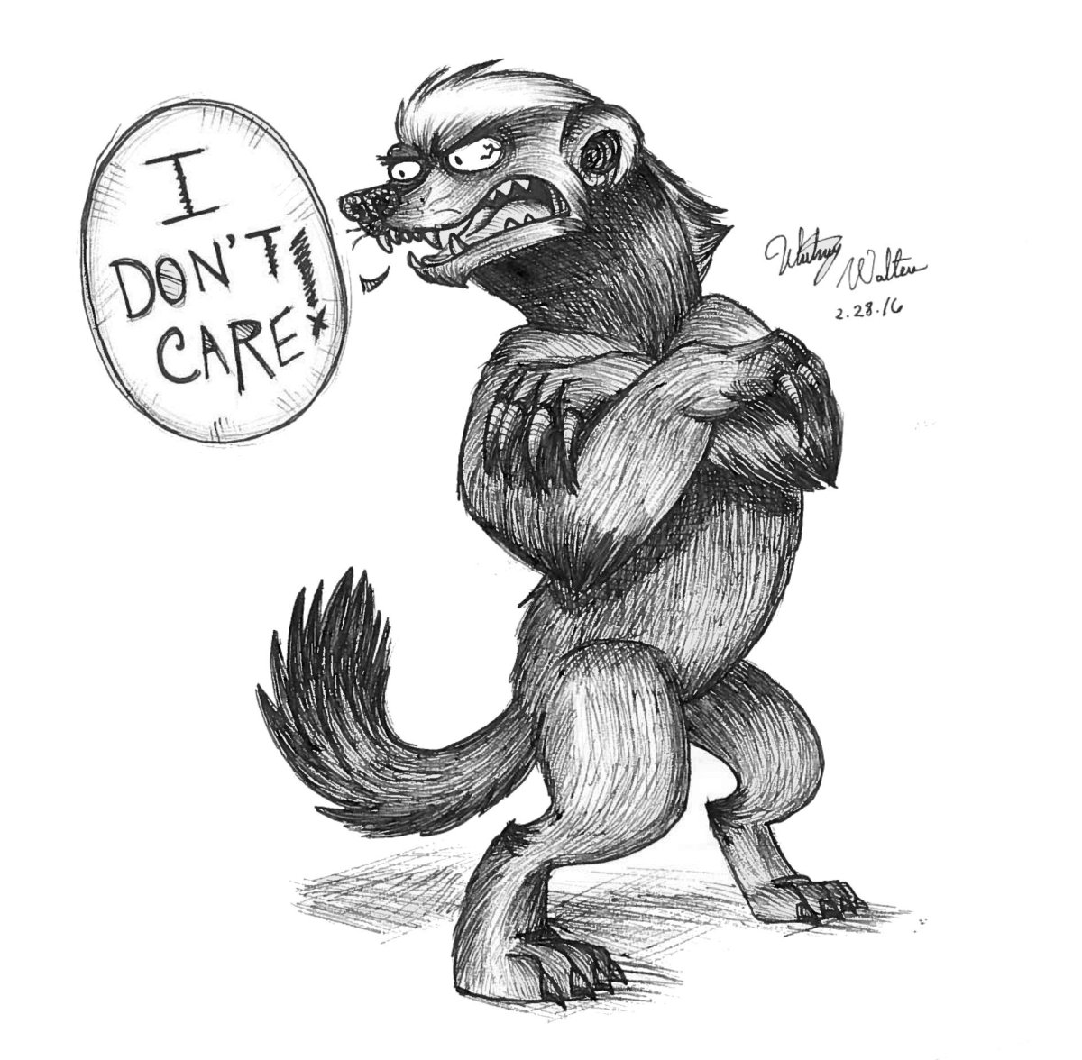 Медоед вектор чб