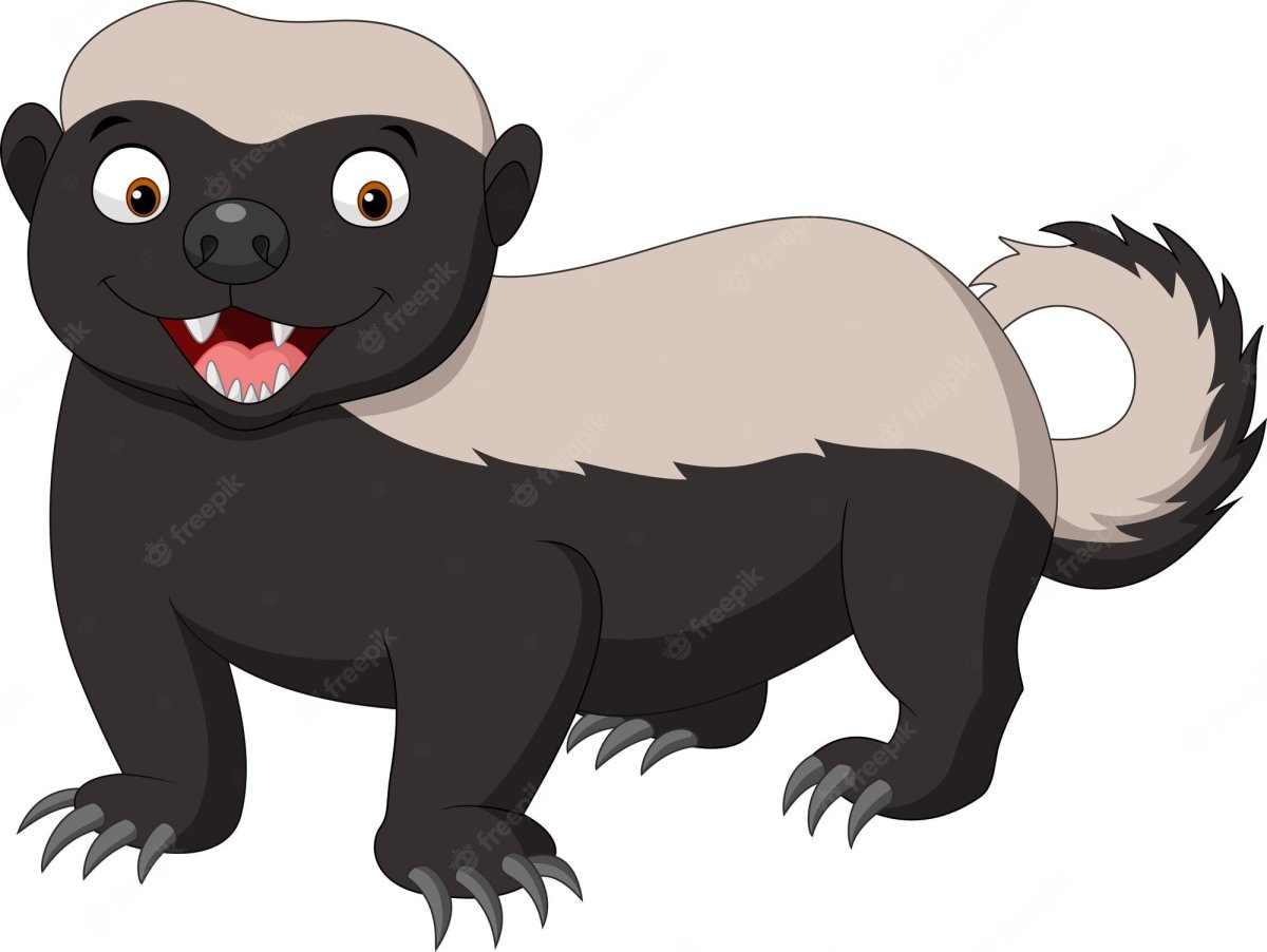 Honey Badger vector