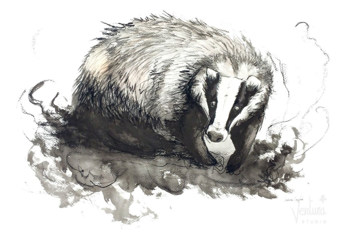 Татуировка Росомаха животное