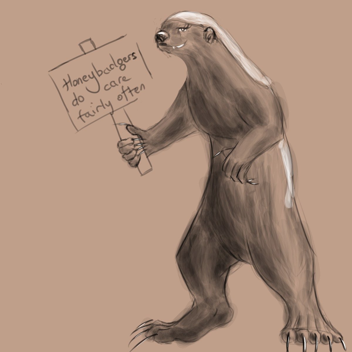 Барсук референс