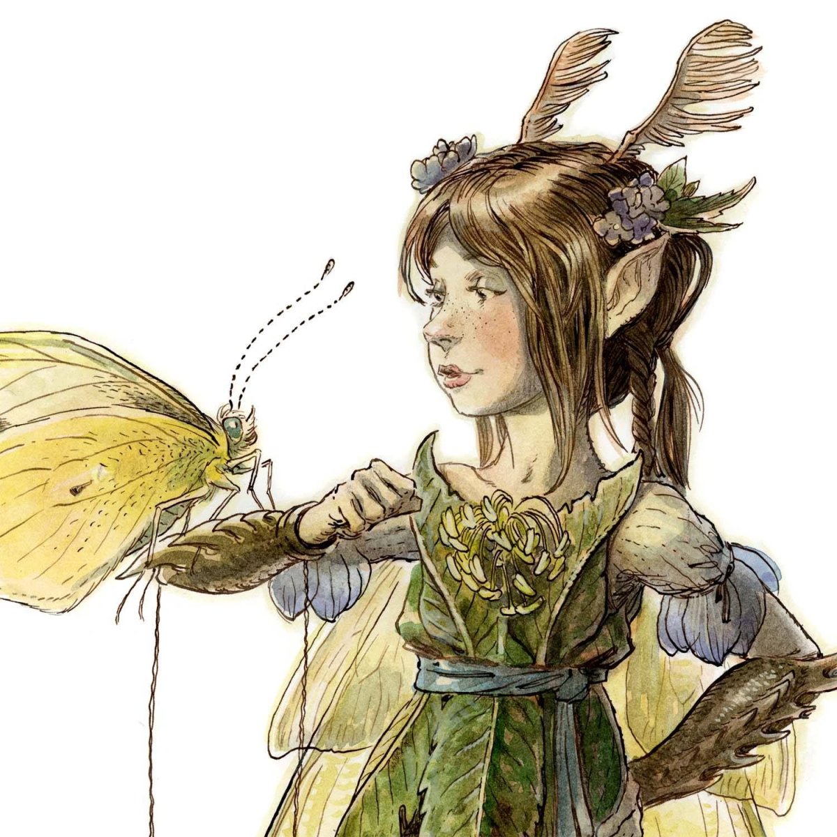 ДИТЕРЛИЦЦИ Тони