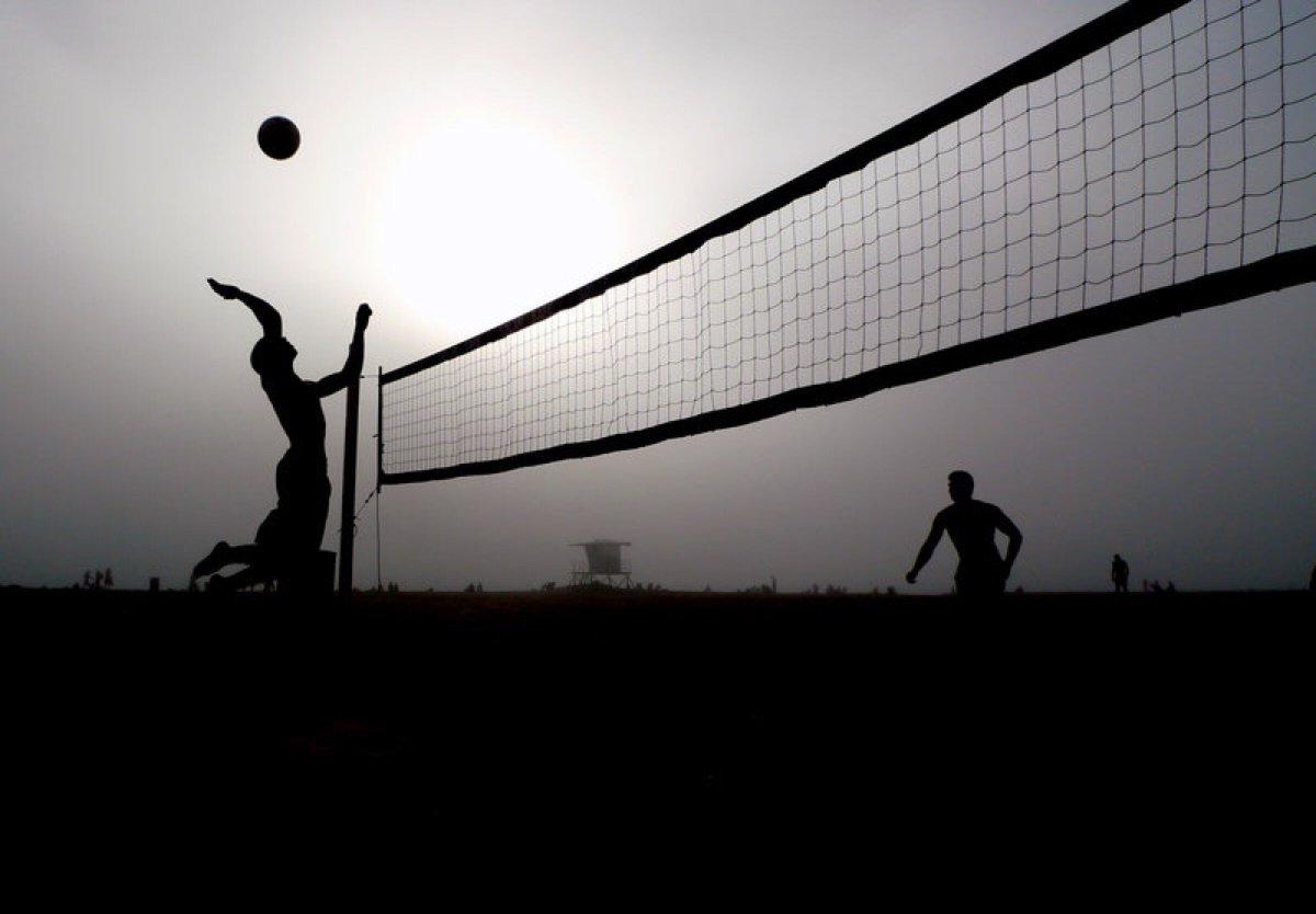 Волейбольная сетка черно белая