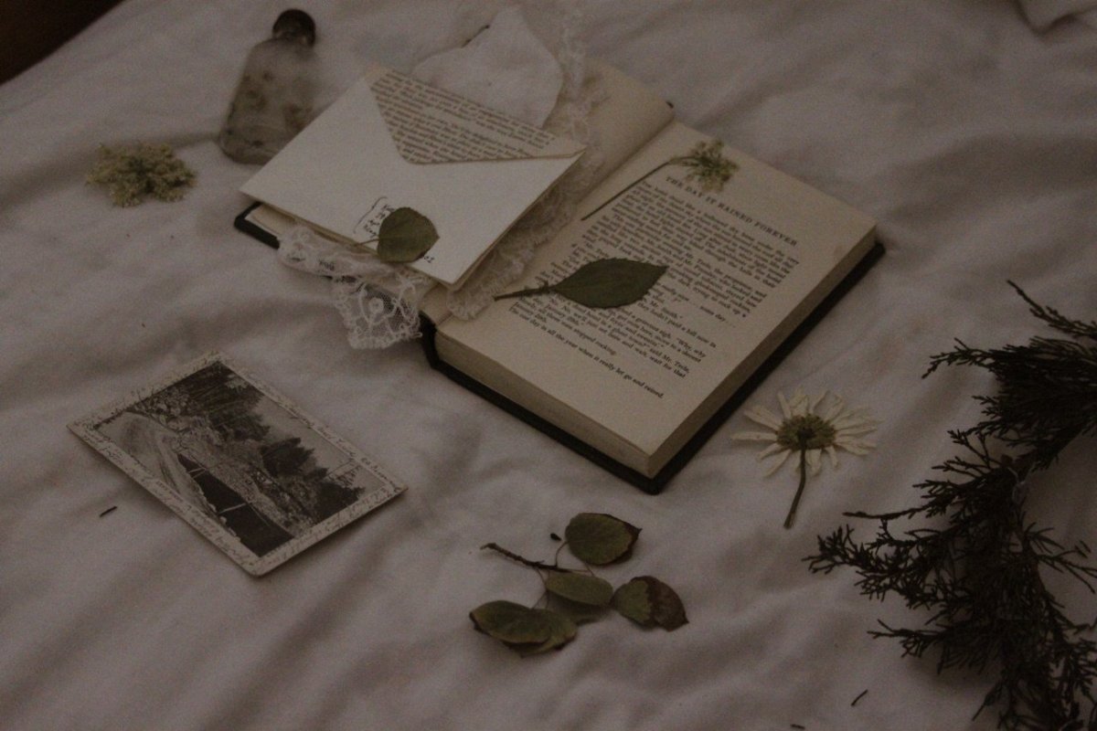 Воспоминания Эстетика