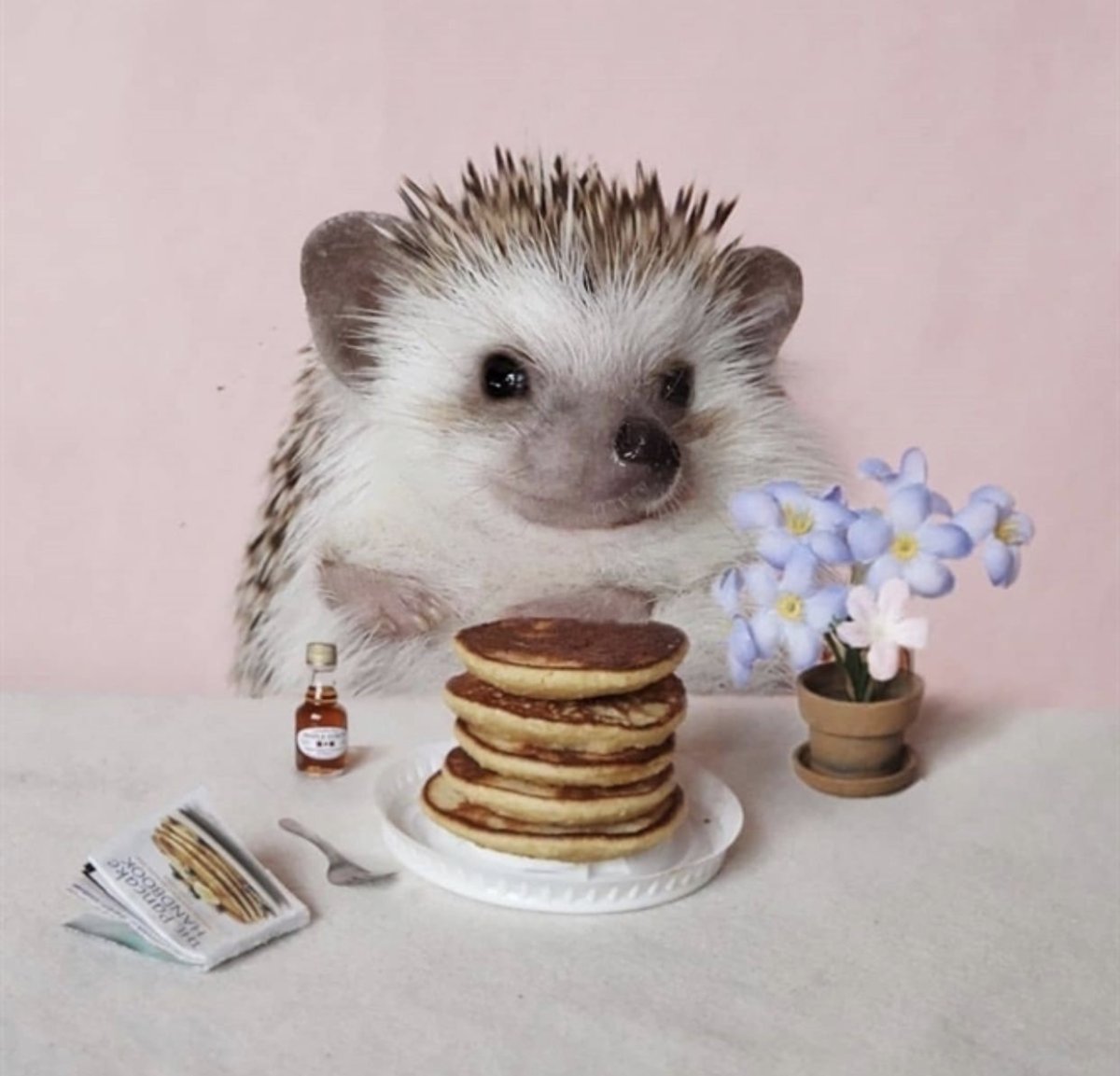 Доброе утро Ёжики смешные