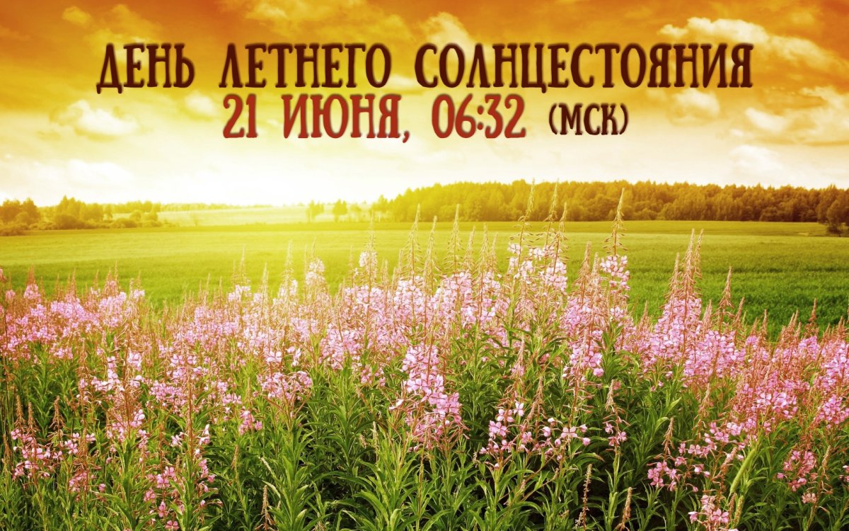 И Полуянов Солнцеворот читать онлайн